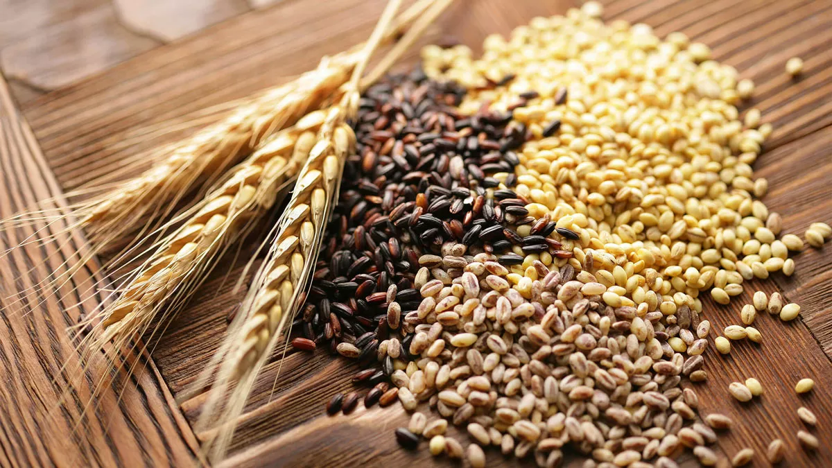 Chapter 2 The Real Tithe of the Bible